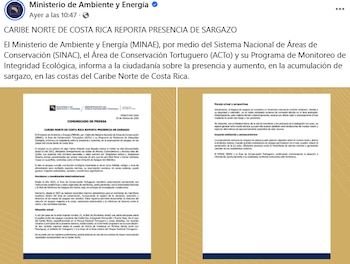 El arribo masivo de sargazo