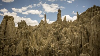 Un estudio del suelo en