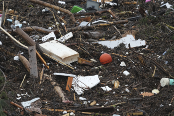 La falta de un sistema