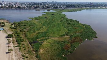 Previo a la intervención del