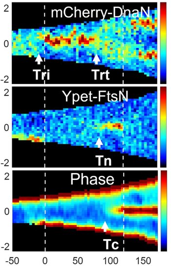 Las generaciones van y vienen: