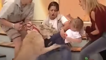 Así fue el momento en