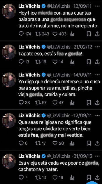 La formación académica que aparece públicamente vinculada a Liz Vilchis es Antropología Social en la BUAP..