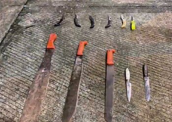 20 armas fueron incautadas -