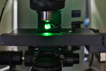 Estados Unidos, Europa, Medio Oriente