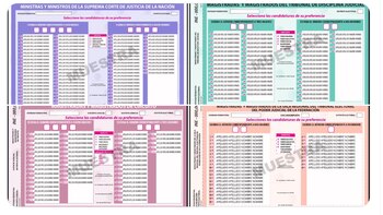 Las boletas se diferenciarán por