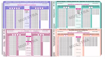 Las boletas se diferenciarán por