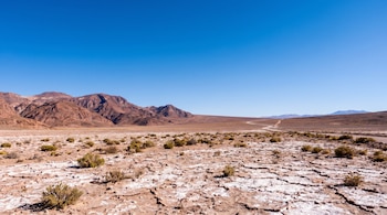 Amplio paisaje desértico con suelo agrietado y blanco, arbustos dispersos, montañas marrones al fondo y un camino de tierra serpenteante bajo un cielo azul claro.