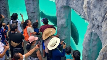 La promoción puede aprovecharse tanto en boleterías físicas como mediante compra virtual - Créditos: Andina.