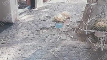 Tropezó de noche en una vereda adoquinada en mal estado y reclamó una indemnización: la demanda fue rechazada