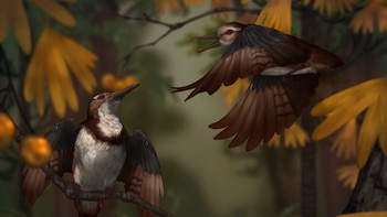 Un fósil permite a científicos