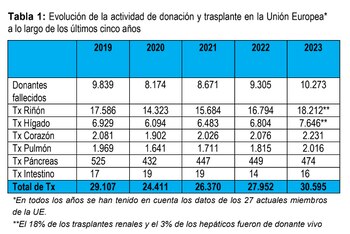 Evolución de la actividad de