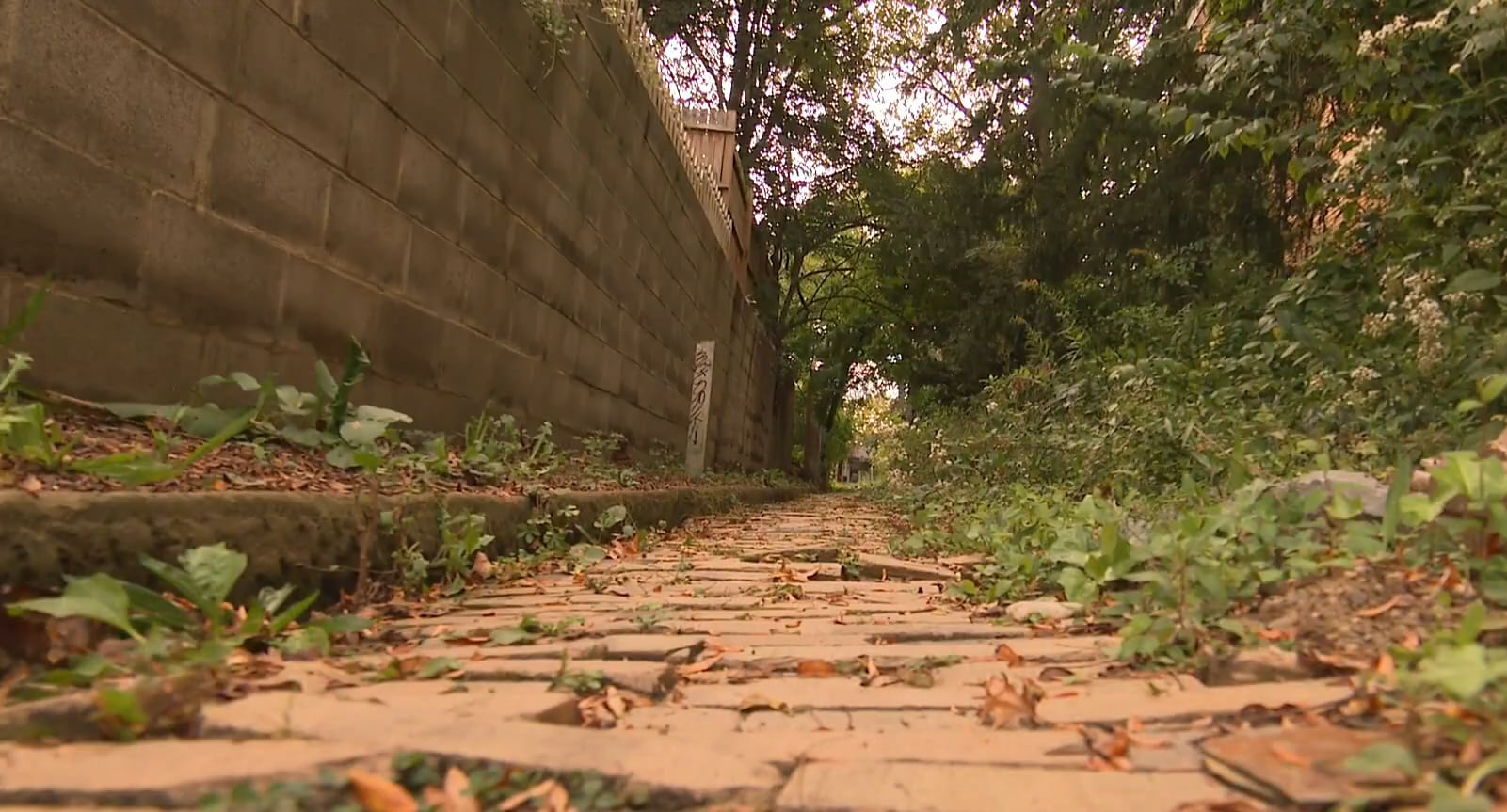 La policía de Wilkinsburg contactó a los detectives del condado tras recibir la denuncia de una mujer atacada en un sendero de la localidad (NBC News)