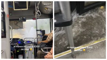 (Captura de pantalla/Tiktok)