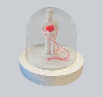 El recorrido estético y político