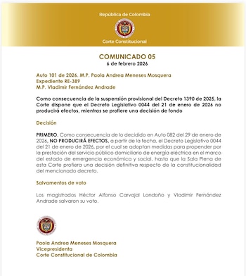 El fallo impide efectos inmediatos