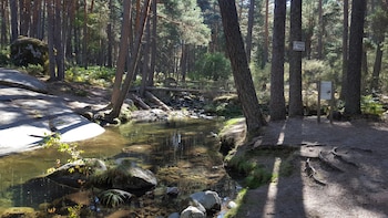 Espaço verde com rio no caminho