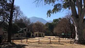 Juan Carlos Perea y Sandra