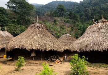 ARCHIVO - El camino hacia Ciudad Perdida pasa junto a una aldea de los kogui. Foto: Manuel Meyer/dpa