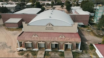 Denuncian crueldad animal y graves faltas a normatividad en Rastro Municipal de Pachuca: desangran cerdos sin estar aturdidos