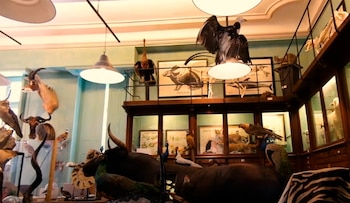 Ubicado en Rue du Bac