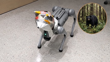 Ante el avance de los osos sobre las ciudades, Japón prueba una solución inesperada: perros robots autónomos