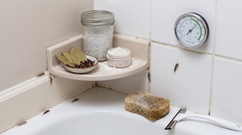Varios pececillos de plata en un baño con azulejos y bañera. Se observa un higrómetro, un frasco con cristales, hojas de laurel, clavos, polvo blanco, esponja y rasqueta.
