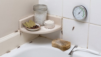 Cómo eliminar los pececillos de plata del baño: trucos caseros contra la humedad