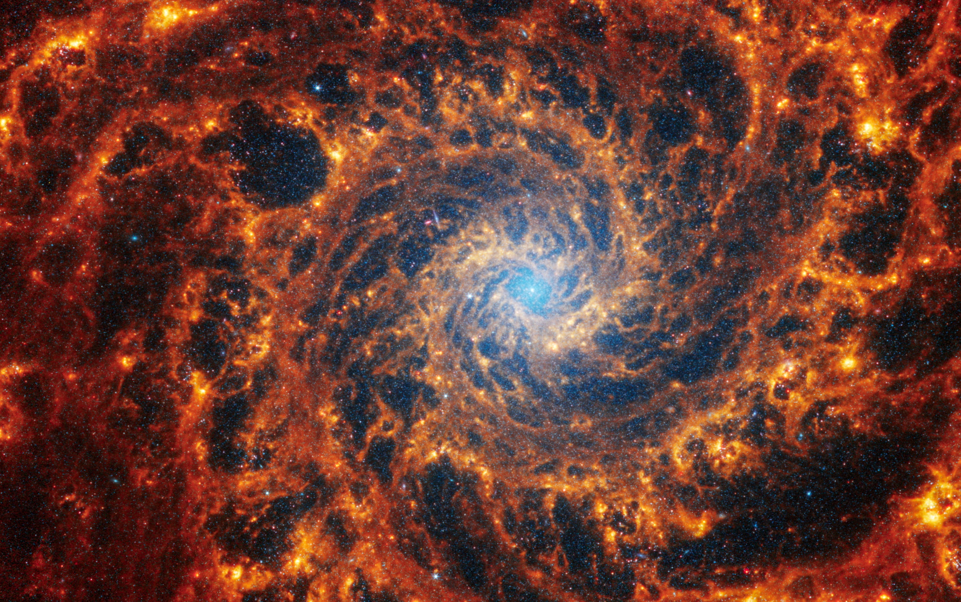 El telescopio IXPE de la NASA midió polarización de rayos X tres veces mayor a la esperada alrededor de una estrella muerta (NASA)