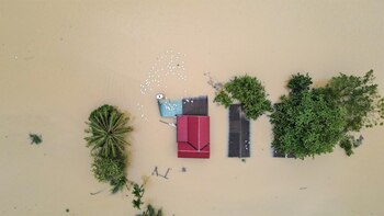 Imagen QIN6ZENFWJFGBDAO47QCE7DODQ