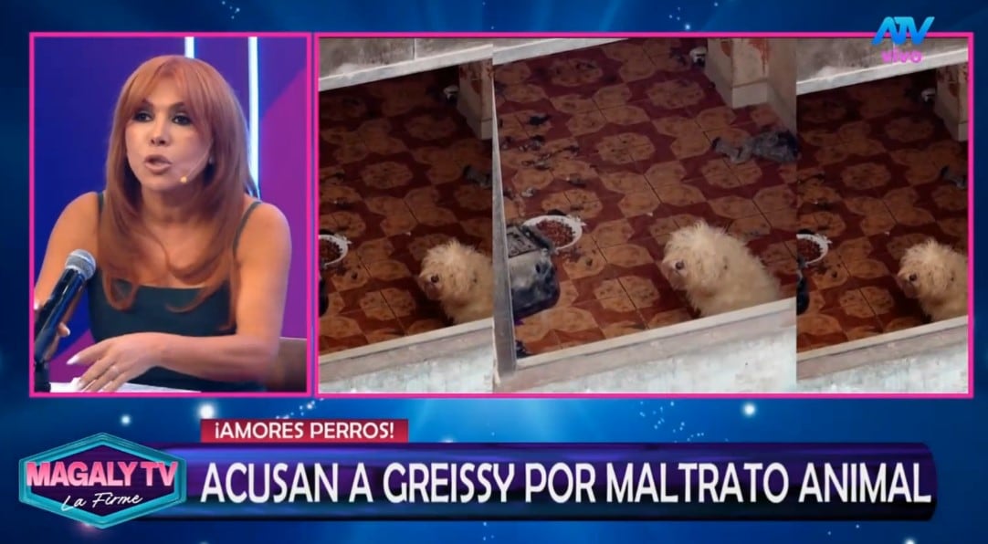 Greissy Ortega enfrenta acusaciones de presunto maltrato animal: vecinos difunden videos y audios. Captura: Magaly TV La Firme.