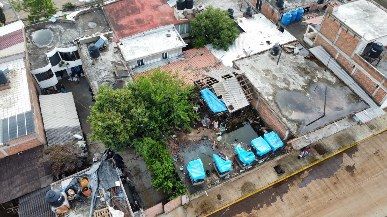 Árboles caídos y una escuela dañada fue parte del saldo de este tornado en Michoacán. (Foto: PC de Michoacán)