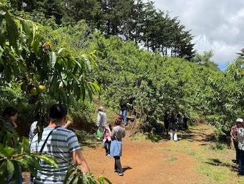 Grupo de personas en un sendero de tierra con árboles, arbustos y vegetación frondosa; cielo nublado visible al fondo