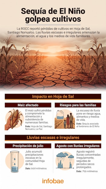 Infografía con texto, una ilustración de un cultivo de maíz seco, un pluviómetro, nubes de lluvia y gráficos sobre un fondo claro.