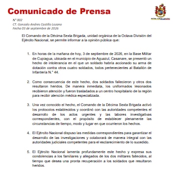 Esta fue la información divulgada por las autoridades - crédito Ejército Nacional