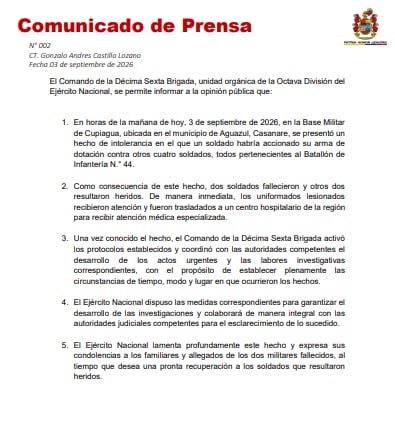 Esta fue la información divulgada por las autoridades - crédito Ejército Nacional