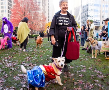 Es la ocasión perfecta para