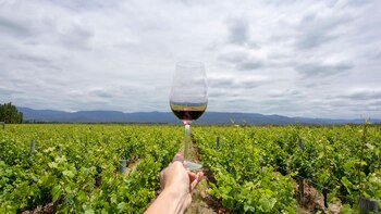 El objetivo de la feria