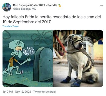 frida, la perrita rescatista de