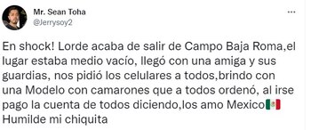 Testimonio de fan de Lorde