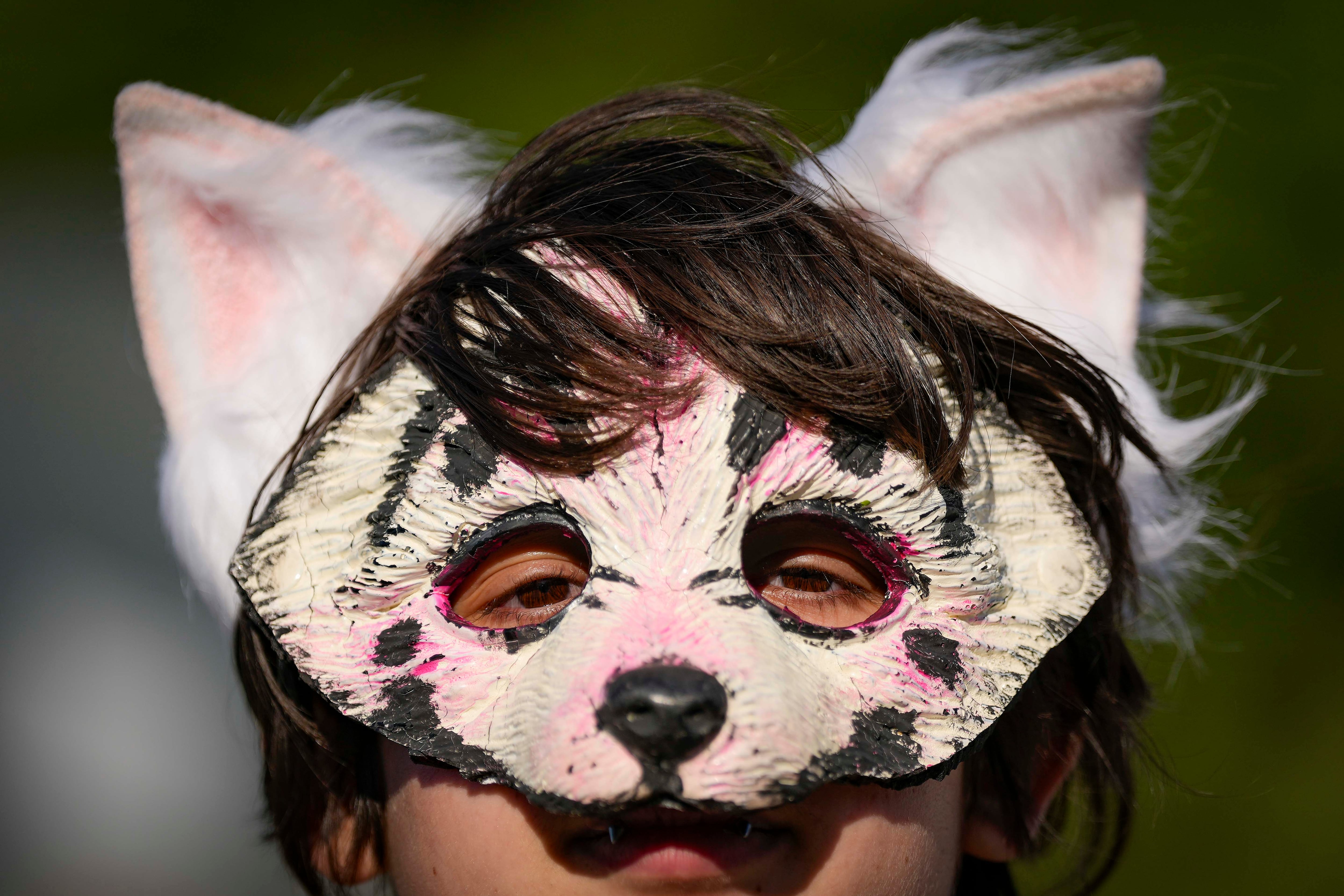 EFE/Enric Fontcuberta