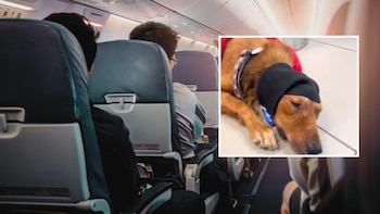 Fundación denunció falta de apoyo