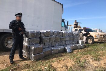 La droga con más aseguramientos en el sexenio de AMLO fue la marihuana (FOTO: SSPC /CUARTOSCURO)