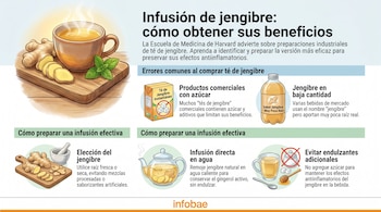 Ilustración de una taza de té de jengibre humeante, raíz de jengibre fresca, hojas de menta y gráficos con información sobre la preparación y errores comunes.