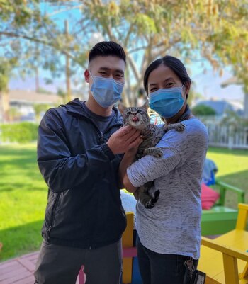 Hasta el momento ya Mercury