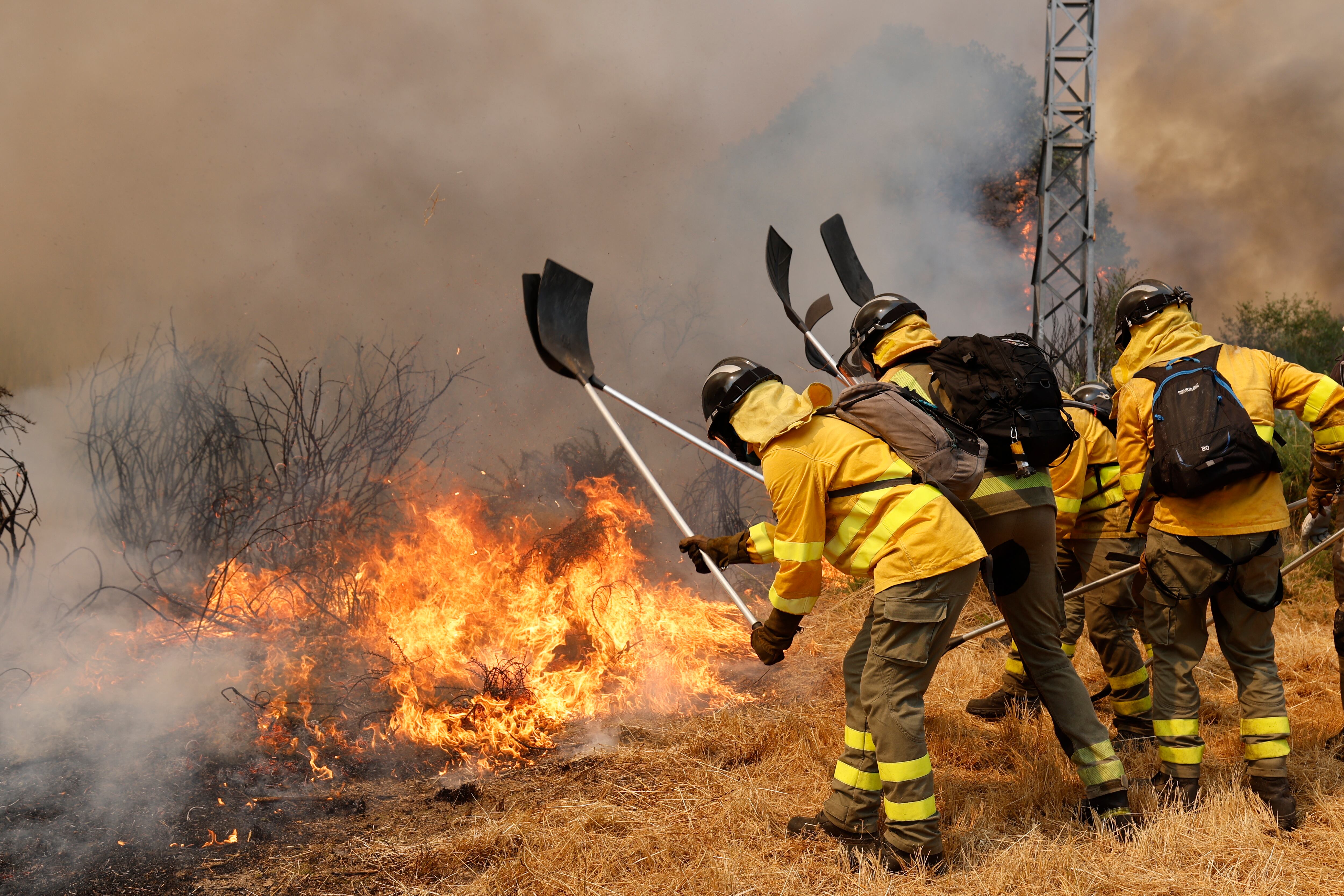 Greenpeace advierte que el 95 por ciento de los incendios forestales en Argentina son de origen humano (AP Foto/Lalo R. Villar, Archivo)