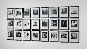 Profetas de la descomposición - Galería Del Infinito