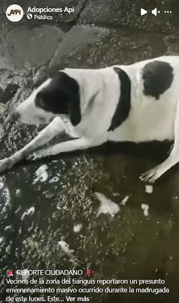 Imagen QJ7DTV6TVJBQVBCHYBSBGNK5N4