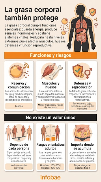 Infografía sobre fondo claro con la silueta de un cuerpo humano, íconos anatómicos y recuadros explicativos con texto e ilustraciones.