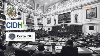 Organismos son confundidos entre parlamentarios